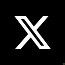 X icon